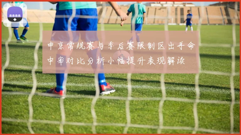 申京常规赛与季后赛限制区出手命中率对比分析小幅提升表现解读