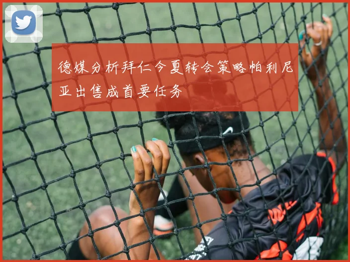 德媒分析拜仁今夏转会策略帕利尼亚出售成首要任务