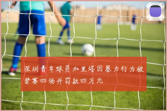 深圳青年球员加里塔因暴力行为被禁赛四场并罚款四万元